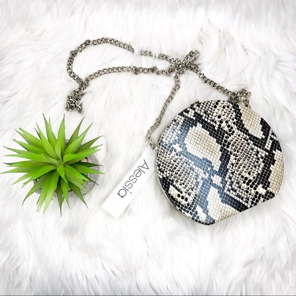 Alessia LAST CHANCE Python Circle Chain Crossbody - Picture 7 of 8